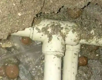南溪测漏水多少钱