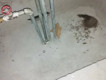 南溪卫生间测漏水价格明细